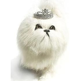 Doggie Tiara