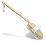 Classic Detachable Head Long Handled Bath Brush