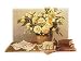 Summer Notes by Wouter Roelofs Fine Art Print / Poster 23.50 x 19.75 in.