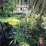 Sounds of the Everglades 1