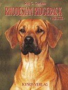 Rhodesian Ridgeback heute