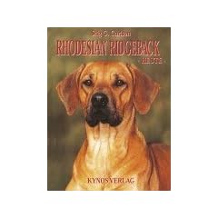 Rhodesian Ridgeback heute