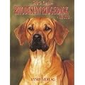 Rhodesian Ridgeback heute
