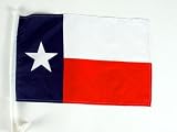 CAR FLAG: Texas , 12" x 18" High Quality Polyester Car Flag