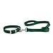 Guardian Gear Nylon Dog Double Layer Basic Lead, 6-Feet, Hunter Green