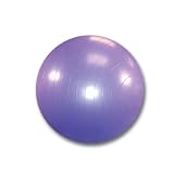 Exercise Gym Balls 55cm 20 Pack