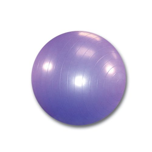 Exercise Gym Balls 55cm 20 Pack