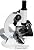Celestron 44104 500x Power Advanced Biological Microscope