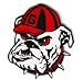 University of Gerogia Bulldogs - Set of 2 Wallpaper Rolls
