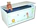 Lift Top Toy Box