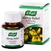 BIOFORCE USA Allergy Relief 120 TAB