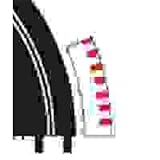 Ninco 6 X 1/2 Outer Border Std Curve