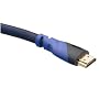6ft Ultra-High Speed HDMI Cable - Version 1.3b Category 2 - 1080p - Gold Plated Connectors - Nylon Braided Cord for Maximum Noise Reduction - PS3 - Blu-Ray