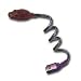 Blaze
Clear
Purple
FlexiLight
(Game
Boy
Color)