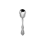 Oneida Michelangelo Sugar Spoon