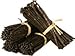 12 Tahitian Vanilla Beans