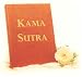 Kama sutra: The ancient art of making love for the new millennium