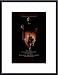 Angel Heart, Art Poster with Metal Frame, poster size: 11