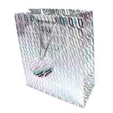 Kitchen & Housewares : Gift Bag Holographic 18cm X 23cm 12/Pk - Silver (SC0002S)