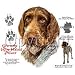 German Wire-Haired Pointer Adult T-Shirt
