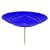 Cathy's Flexi spinning plate - Blue