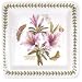 BOTANIC GARDEN SQ DINNER PLATE 10.5"