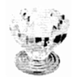 Amerock Corp. 14303CBB Acrylic Knob