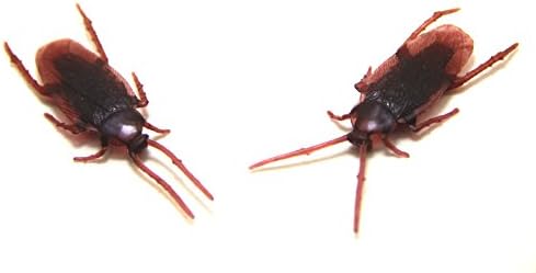 NAKIM Fake Roach Pranks Plastic Cockroaches Gag Gifts, Pack of 24