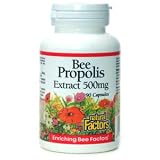 Bee Propolis Extract, 500 mg, 90 capsules