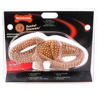 Dental Dinosaur Durable by Nylabone