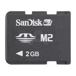 Childrens Toyshop  Heimwerken : SanDisk 2GB Memory Stick Micro M2