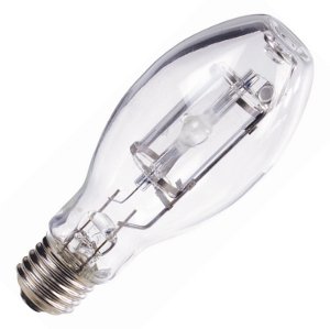 thanksgiving Bulbrite M70 MED 70 Watt UniversalB0030B3QM0