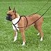 Pet Supplies : Control Ease Harness - Large