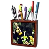 WhiteOak Photography Butterflies - Yellow Butterfly Swallowtail Butterfly - Tile Pen Holders-5 inch tile pen holder