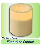 Cachepot Candle Warmer - Bugs