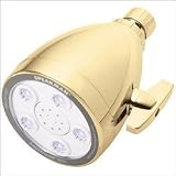 Speakman S-2005-BB Anystream 2000 Showerhead, Bright Brass