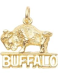 Rembrandt Charms Buffalo Charm