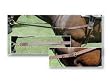 Nunn Finer Nylon Side Reins with Elastic
