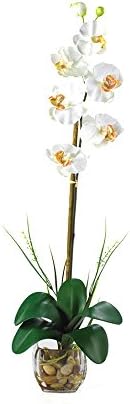 Nearly Natural Single Phalaenopsis Liquid Illusion Silk Flower Arrangement Cream