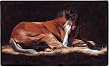 Good As Gold Foal Home Decor Western Horses Horse Doormat MAT Rug
