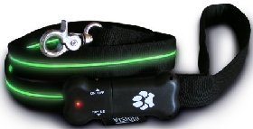 New Version: 4′ EL Fiber Lighted Dog Leash – Green