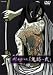 鬼跡 -弐- [DVD]