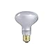 Zilla Incandescent Spot Bulbs Day White 50 Watts