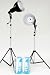 JTL 92112 DL-170 Fluorescent Compact Kit with Two 85W CFL, 10 inch Reflector, 6.5' Light Stands, Light/ Umbrella Holders