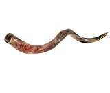 Kudu Yemenite HORN SHOFAR Kosher All Polished approx 32-35 new