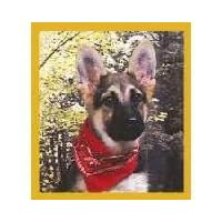 German Shepherd Pup w Bandana by Magnetic Bookmark
