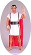 ADULT Mark Anthony Costume - Great Toga Too!