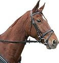 Bridle B-line Adelaide - Large (full)