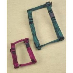 Hamilton 5/8" Nylon Adjustable Comfort Dog Harness, Mango Orange, Small (12" - 20" chest)