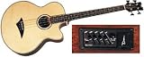 Performer Bass CE